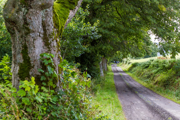 gravel road in the Highlands
