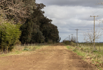 camino rural pampa