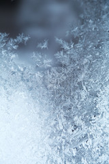 Fototapeta premium 結氷の模様