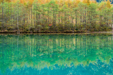 長野県上高地　初秋の風景（10月）