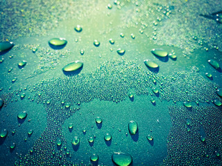 Close up water drops on green wallpaper background