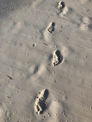 foot steps in the sand