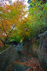 Fototapeta na wymiar 秋の山の渓谷の紅葉