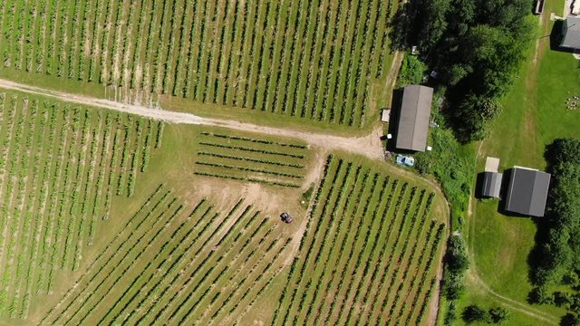 Vineyard tours Wine Tasting in Summer Grape vines Travel Trip Vacation Michigan Orchard Farm House Farming Colors in Pure Michigan Old Mission Peninsula in Traverse City Area looking down logo ender
