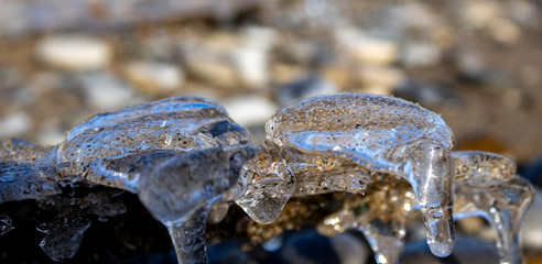 Ice shapes on the beach from rocks and pebbles in the winter