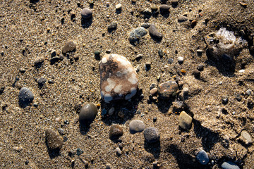 Patterned stone on a beach in the winter