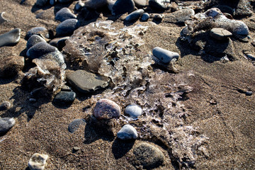Ice shapes on the beach from rocks and pebbles in the winter