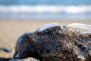Frozen shapes of rock and sand in the beach in the winter