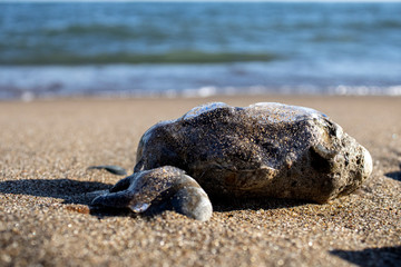 Frozen shapes of rock and sand in the beach in the winter