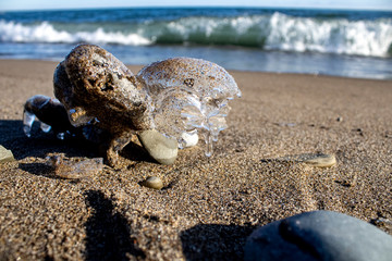 Frozen shapes of rock and sand in the beach in the winter
