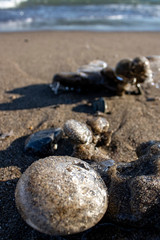 Frozen shapes of rock and sand in the beach in the winter
