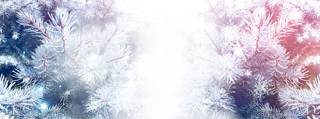 Winter christmas background. Blurry pine branches close-up, New Year's blurry lights, snowflakes