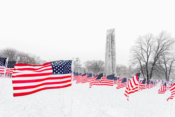 American Flags in the Snow