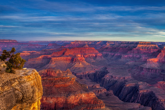 Grand Canyon Overlook Along The South Rim