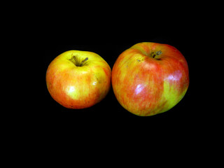 apple isolated on white background