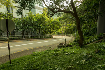 a quick shot at the left turning of a campus road in a university of hong kong china