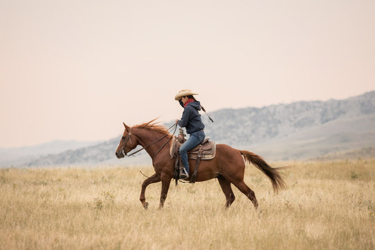 Personal Cowgirl Riding – Telegraph
