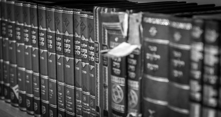 Jewish holy book collection- Sefat Israel