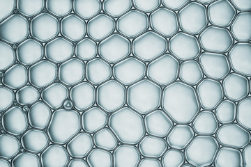 Cells division process, Cell divides into two cells