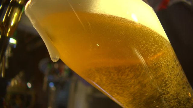Stock video footage bar beer being poured into a glass