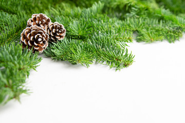 Woody seed cones and colored Christmas Ball Ornaments  on pine branches