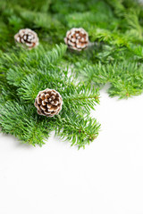 Woody seed cones and colored Christmas Ball Ornaments  on pine branches
