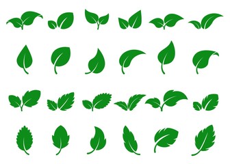 Green leaves logo. Leaf icon set. Herbal eco abstract label. Bio, vegan or pharmacy concept. Simple flat foliage design. Decorative nature silhouette. Fresh mint isolated sign. Vector tree sprout