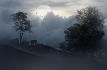 little house in the fog