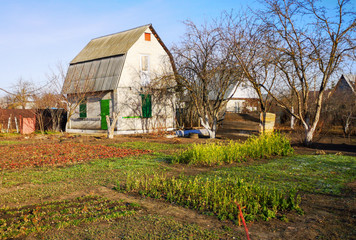 House overgrown with trees in the country