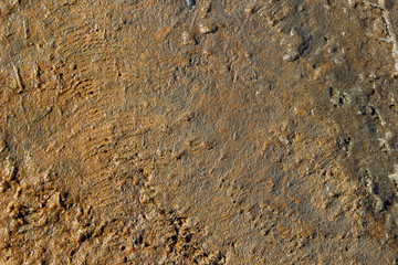 Texture of frozen clay