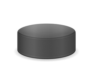 Hockey puck