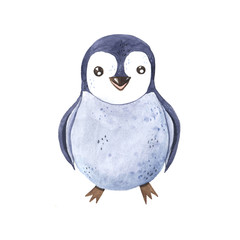Watercolor hand painted cute winter penguin