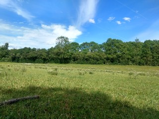 Blue sky and green field