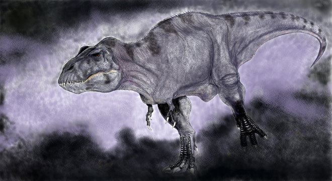 ティラノサウルスは白亜紀後期の恐竜時代の終焉を飾る大型の肉食恐竜であり、様々な化石が発見されている。雌雄の大きさの違いや、家族単位での群れの形成等、生態への探求が今も続いている。上下の顎は重く鼻先は細長い。頭部を真正面から見るとフクロウのような視野の広がりをもつ。巨大な上顎が視野を妨げるような構造ではなく、獲物との距離感が正確につかめるような構造である。このイラストは同系の色で背景を付けたもの。