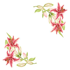 Pink-Red Lily. Frame of pink-red flowers, green leaves and buds. Hand-drawn collection of greeting cards. Vector illustration.