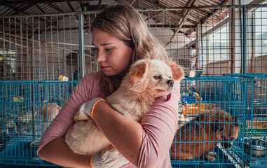 Female volunteer holds on hands little dog in shelter. Shelter for animals concept