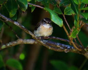 Point de vue depuis Dioré