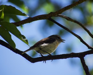 Point de vue depuis Dioré