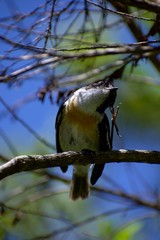 Point de vue depuis Dioré