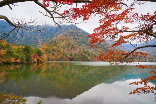 yunoko lake with red maple leaf tree and colorful autumn season in nikko
