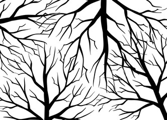Branch of dead trees on white background.