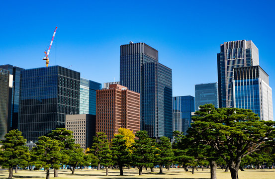大手町のオフィスビル群