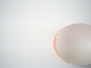  Waste many eggs that make into a background with a white background.