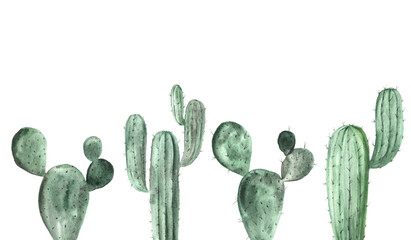 Watercolor green cactus collection