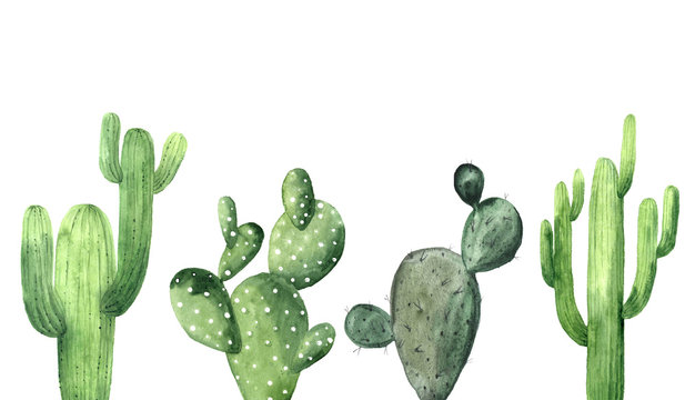 Watercolor Green Cactus Collection