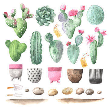 Watercolor hand painted exotic cactus set
