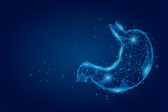 Abstract mash line and point human healthy stomach. Low poly health care vector illustration