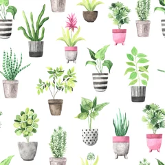 Afwasbaar Fotobehang Planten in pot Naadloos patroon met groene huisplanten in aquarel