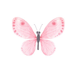 Pink bright watercolor butterfly