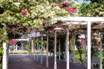 The white terraces on the hotel grounds are decorated with exotic flowers.